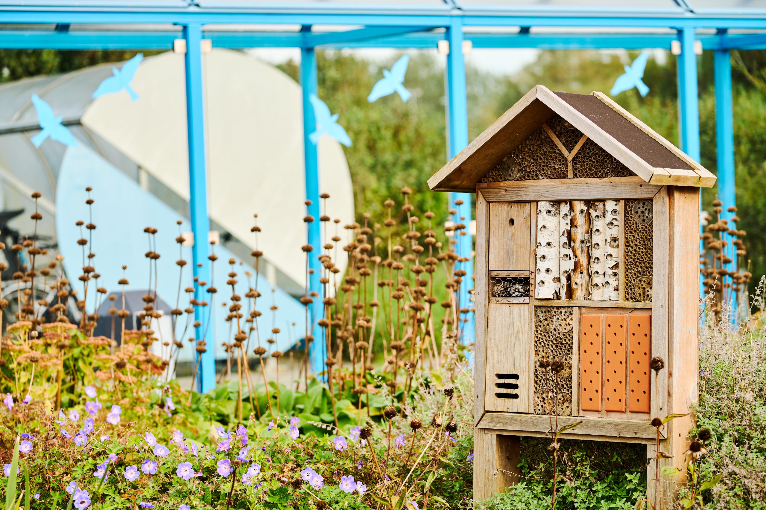 2024 10 06 ESA Open Day 0204